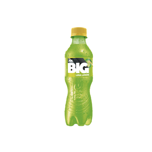 [AJ001-001-N-0007] BIG LIMA LIMON PET NO RETORNABLE 360 ML